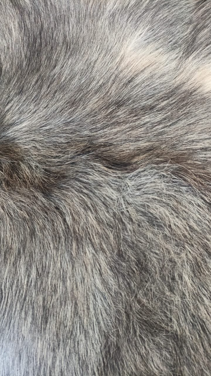 Détail du grain
