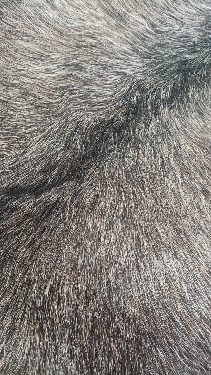 Détail du grain